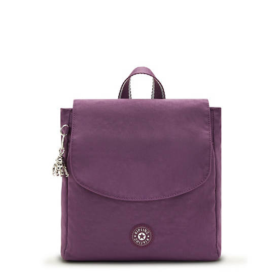 Kipling Dannie Small Backpacks Endless Plum | AU 1549OK